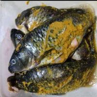 Gambar Ikan emas ungkep siap goreng 1 kilo dari Sayur Segar Bekasi undefined 1 Tokopedia