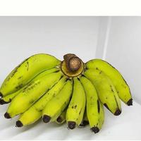 Gambar Pisang ambon 1sisir dari Indo Natural Pangan undefined 1 Tokopedia
