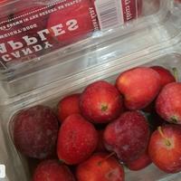 Gambar CANDY APPLES BUAH APEL CANDY dari KAIKU HOUSE undefined 1 Tokopedia