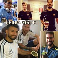 Gambar Yerba Mate Cruz de Malta 100 Gram Teh Yerba Mate dari Harlequin Herb undefined 3 Tokopedia