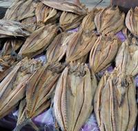 Gambar Ikan/Iwak Kering Telang Tenggiri 1 Kg Termurah Asli Kalimantan Selatan dari Urban shop Banjarmasin undefined 1 Tokopedia