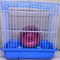 Gambar kandang hamster KKO Hijau dari ndpets1 undefined 5 Tokopedia
