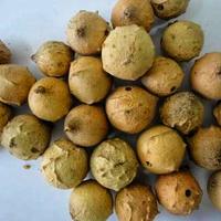 Gambar buah manjakani kering asli dari Sarifood Official undefined 3 Tokopedia