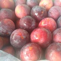 Gambar Buah Plum Spanyol Impor Fresh Organic Grandma Lila Maniss Garing 1kg - 1 kg dari Qeenfood undefined 3 Tokopedia