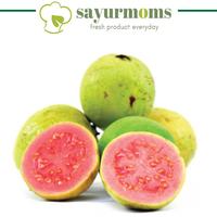 Gambar JAMBU MERAH BIJI [500 GR~1 KG] / BUAH SEGAR - 1/2 kg dari Sayurmoms undefined 1 Tokopedia