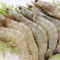Gambar Udang vaname fresh 500gr dari rumah sayur tangerang undefined 1 Tokopedia