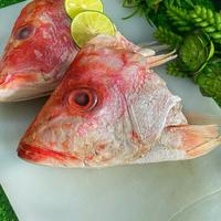 Gambar PASAR ONLINE MURAH - KEPALA IKAN KAKAP MERAH SEGAR 500GR dari PASAR MINI JODEL TANGERANG undefined 1 Tokopedia