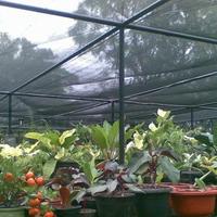 Gambar Paranet 70% import / shading net / permeter termasuk jahit, ring, list - sesuai sop dari ATRA PRODUCTION undefined 5 Tokopedia
