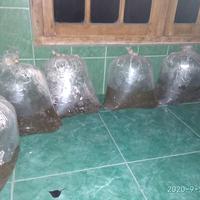 Gambar ikan hias molly marbel dari FISHSTAR - ikan hias Tulungagung Jawa timur undefined 3 Tokopedia