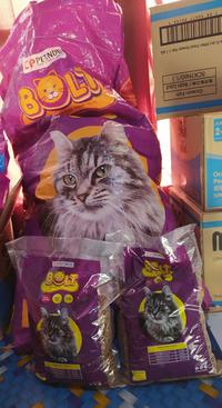 Gambar Bold Cat 1 kg / makanan kucing / cat food / pakan kucing / dry food - 1600 gram dari NUNU PETSHOP undefined 3 Tokopedia