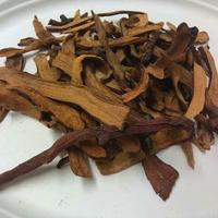 Gambar 100 G GR GRAM GU SUI BU FORTUNE DRYNARIA RHIZOME RHIZOMA DRYNARIAE dari Sinar Cahaya Shop undefined 1 Tokopedia