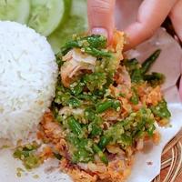 Gambar Paket Nasi Ayam Kribo Sambel Geprek Ijo dari Ayam Kremes Kribo undefined 1 Tokopedia