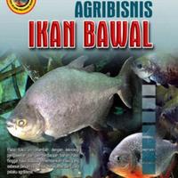 Gambar Agribisnis Ikan Bawal dari Tb.Ojolali Sriwedari undefined 1 Tokopedia