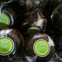 Gambar gula aren batok premium OSAGE Sugar dari qfaren undefined 3 Tokopedia