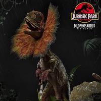 Gambar Prime 1 Studio Jurassic Park Dilophosaurus 1/6 Scale Statue dari Warung Forza Shop undefined 4 Tokopedia