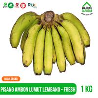 Gambar Buah Pisang Ambon Lumut Lembang Segar Manis 1 kg dari Warung Saputra undefined 1 Tokopedia
