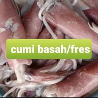 Gambar cumi basah segar/500grm - 1/2 kg dari lapak tempe rozi undefined 1 Tokopedia