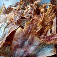 Gambar Sotong Kering / Cumi Kering / Juhi / Jiu He - Besar, ±250gram dari Kalbar shop Aneka Snack undefined 3 Tokopedia