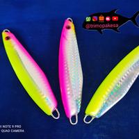 Gambar Thunderjig copy - pelangi, 160gram dari Trimopakesa Fishing Store undefined 2 Tokopedia