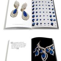 Gambar ASSOULINE BOOK "ALEXANDRE REZA" ORIGINAL dari RnQStore undefined 3 Tokopedia