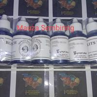 Gambar Obat Ikan cupang BLITS ICH 30 ML dari Jskom Jasa GB & Setting Macro undefined 2 Tokopedia