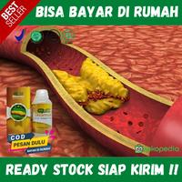 Gambar Obat Herbal QNC JELLY GAMAT 300 ml Turunkan Kolesterol Tinggi dari Rakana Herbal Shop undefined 1 Tokopedia