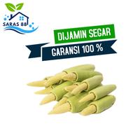 Gambar Sayuran segar sayur Tangerang fresh jagung muda dari Saras-88 undefined 1 Tokopedia