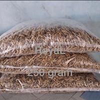 Gambar Maggot bsf kering oven 250 gr pakan koi burung reptile dari Royal1899 undefined 1 Tokopedia