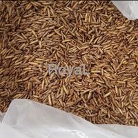 Gambar Maggot bsf kering oven 250 gr pakan koi burung reptile dari Royal1899 undefined 2 Tokopedia