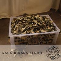 Gambar Daun Bidara Arab kering - Daun Herbal - Pengobatan Tradisional 10 gram dari RESTU BUMI PERTIWI undefined 2 Tokopedia