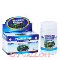 Gambar Ekstrak Ikan Gabus PROBUMINKU | Kapsul PROBUMINKU 60 kapsul dari Etamilku Official undefined 1 Tokopedia
