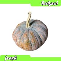 Gambar labu kuning potong 200 gr dari Sokaoi undefined 1 Tokopedia
