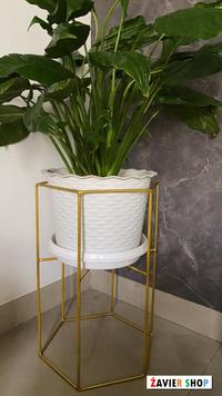 Gambar Standing Pot Hexa Pot 30 - Hitam dari Zavier Shop2 undefined 1 Tokopedia