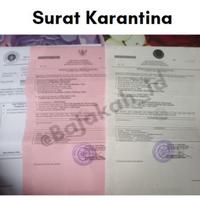 Gambar Akar Bajakah Tampala SUPER obat kanker tumor ganas bajaka tunggal asli - 100 gram dari Jidah store undefined 4 Tokopedia