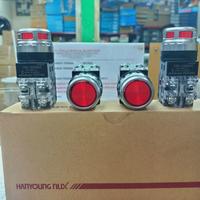 Gambar ILUMINATED PUSH BUTTON LAMP 30MM HANYOUNG dari piala group undefined 1 Tokopedia