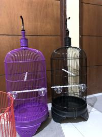 Gambar sangkar burung lovebird bulat - Ungu dari Ranger Kios Burung undefined 1 Tokopedia
