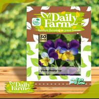 Gambar Benih Bunga Viola Helen Mount ( Benih impor repack) dari Daily Farm undefined 1 Tokopedia