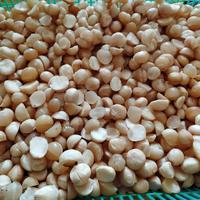 Gambar Ready Kacang Macadamia kupas belah mentah dari Amulas store undefined 1 Tokopedia