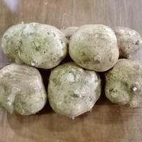 Gambar Buah Bengkoang Bengkuang Segar Fresh 1 kg - Grosir - 1kg dari STP BUMBU FreshMart Store undefined 2 Tokopedia
