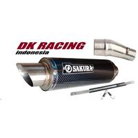 Gambar knalpot z250 ninja fi karbu r25 mt25 slip on REMUS KENALPOT RACING - pdk oval rainbo dari DK CARBON undefined 5 Tokopedia
