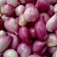 Gambar Bawang Merah Kupas dadakan ¼ kg dari Rumbo Sayur undefined 1 Tokopedia