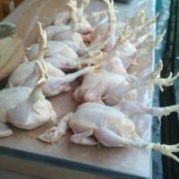 Gambar Ayam Segar Fresh 1.2 kg - 1.3 kg / 1,2 - 1,3 Utuh Kepala Ceker jeroan Bisa Req potong dari Doyan Daging Store Depok undefined 3 Tokopedia