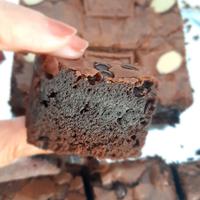 Gambar Brownis fudgy Shiny dari cpkoleksi undefined 4 Tokopedia