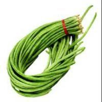 Gambar Kacang Panjang FRESH - 250 gram [GROSIR] dari KangSayurMenteng undefined 1 Tokopedia