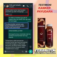 Gambar Ferbaltik 500ml - Herbal Ampuh Mujarab dari MELVYBI ID undefined 4 Tokopedia