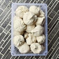 Gambar AMPAS TAHU Fresh  ORGANIK - FRESH dari FDG BGR undefined 3 Tokopedia