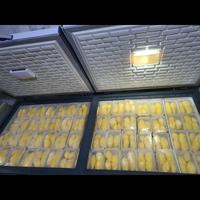 Gambar durian montong kupas 500gr - 1KG TANPA BIJI dari DurianKingthong undefined 4 Tokopedia