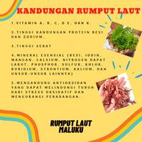 Gambar 100 gr RUMPUT LAUT MERAH KERING ( Eucheuma cottonii) dari Rumputlautmaluku undefined 3 Tokopedia