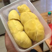 Gambar durian montong kupas 500gr - 1KG TANPA BIJI dari DurianKingthong undefined 3 Tokopedia