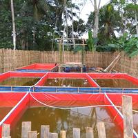 Gambar TERPAL kolam kotak uk 2x2x50 cm bahan A 12 dari Arie terpal mj undefined 2 Tokopedia